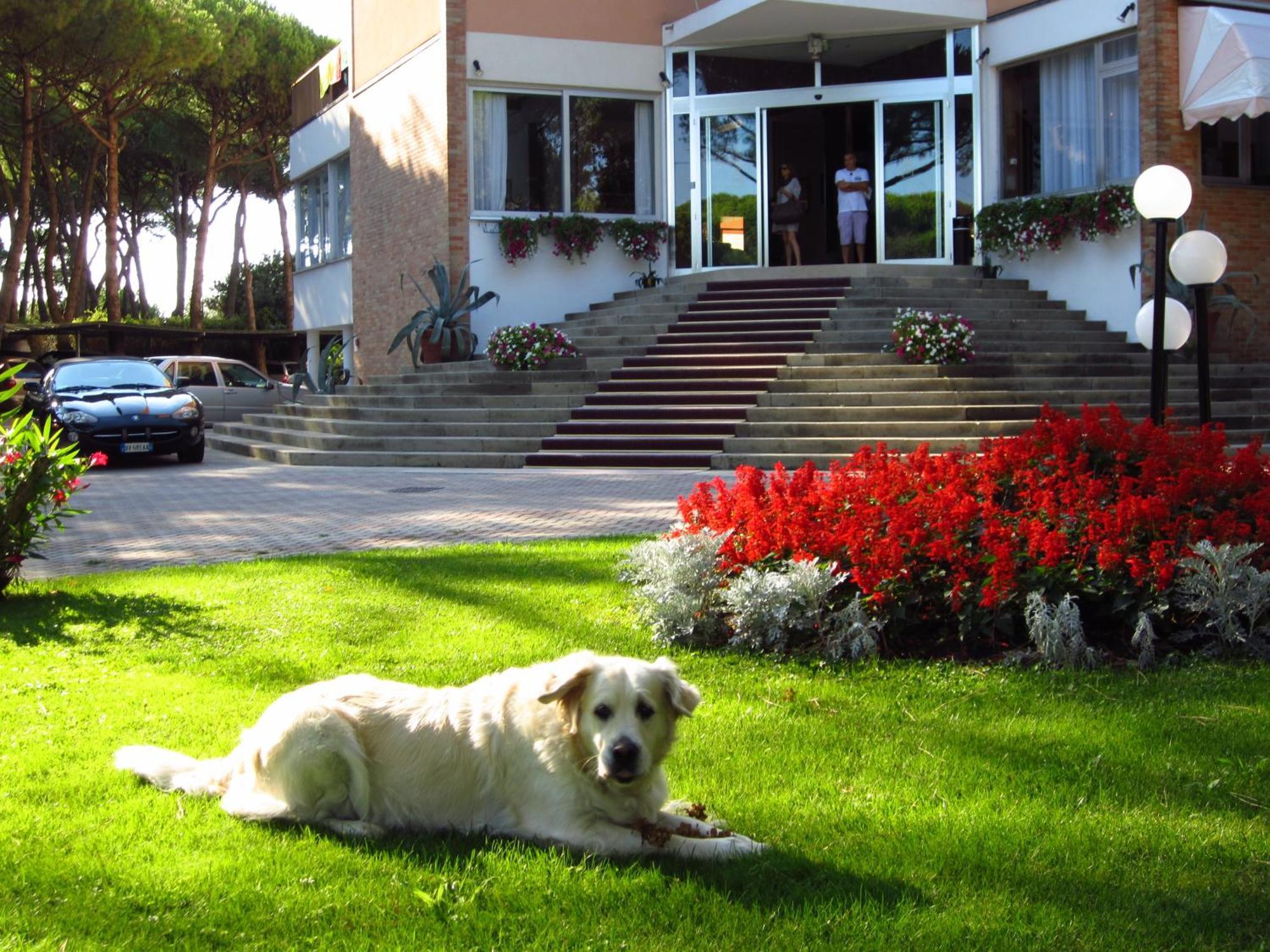 Hotel Beau Rivage Pineta Lido di Jesolo Exteriör bild