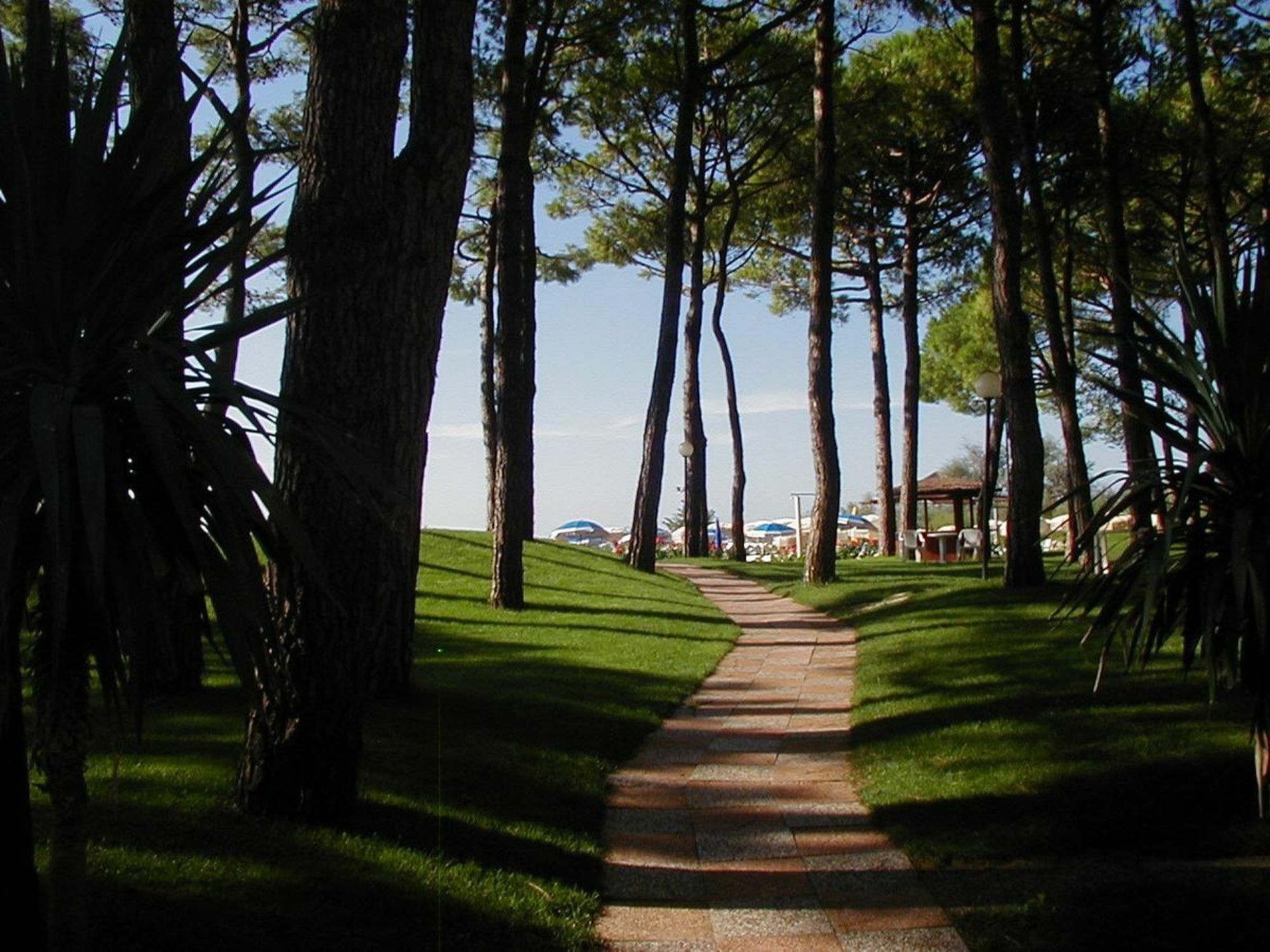 Hotel Beau Rivage Pineta Lido di Jesolo Exteriör bild